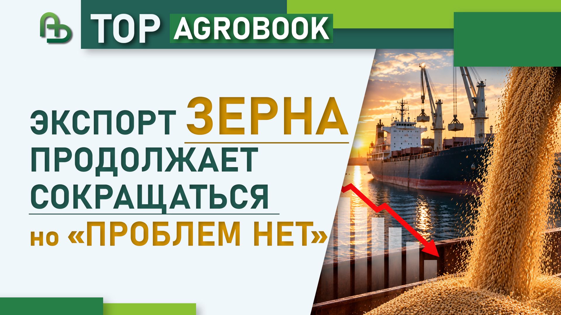Экспорт зерна продолжает сокращаться, но «проблем нет» | TOP Agrobook