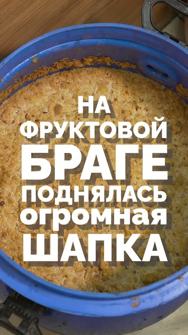 Нужно ли перемешивать шапку фруктовой браги?