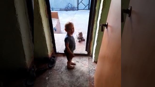 Проверяем нервы кисы