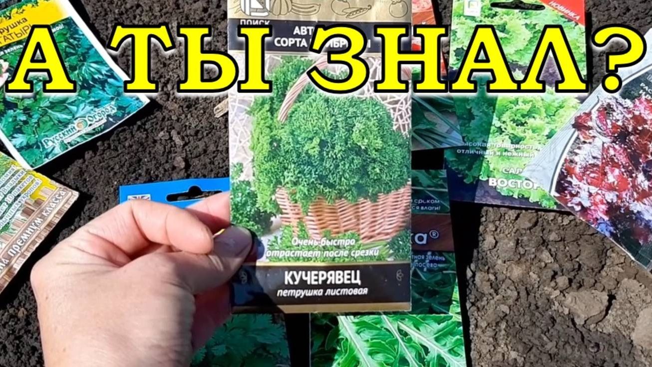 Любимая ДАЧА🌺🐝🌻🐞🌼