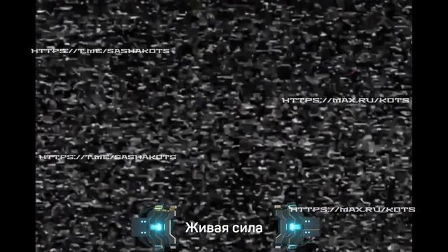 Засади врагу по самые Нидерланды.
