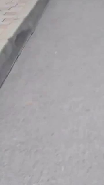 Мобилизация на Украине проходит по плану — Данилов.