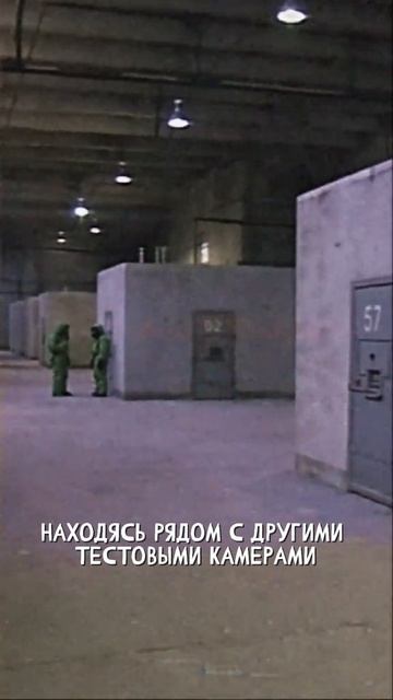 К О.Н.Т.У.Р. Вы приняты на работу (Видео архив)