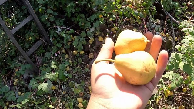 Семья Устиновых