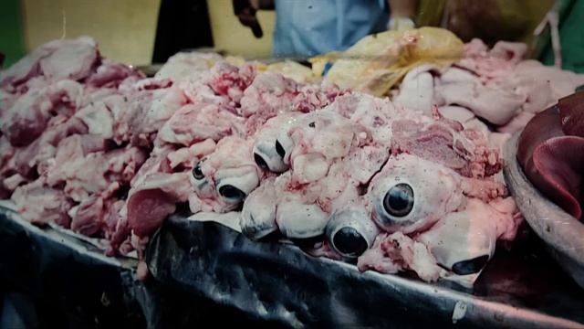 CARCASS - Kelly's Meat Emporium (OFFICIAL VISUALIZER VIDEO)
