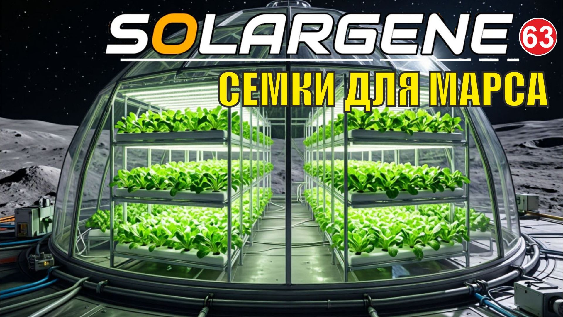 Solargene  -  Семки для Марса