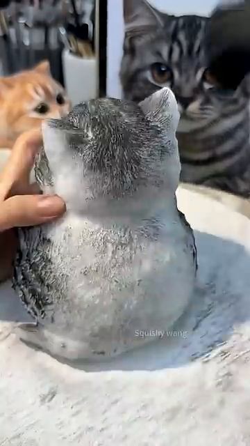 Маленький котенок с покачивающиеся головой пранк😹😹🐈🐈⬛❤️