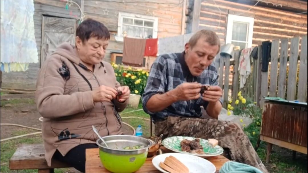 Хитрые гуси