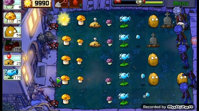 сьн Данил сегодня Pvz6