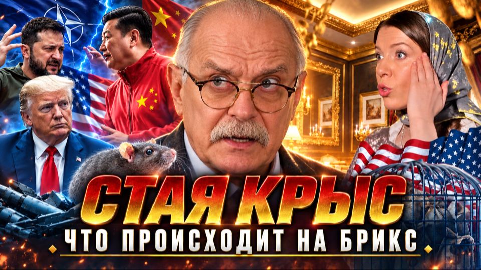 СТАЯ НАПАЛА / БРИКС / МИХАЛКОВ БЕСОГОН / ОКСАНА КРАВЦОВА