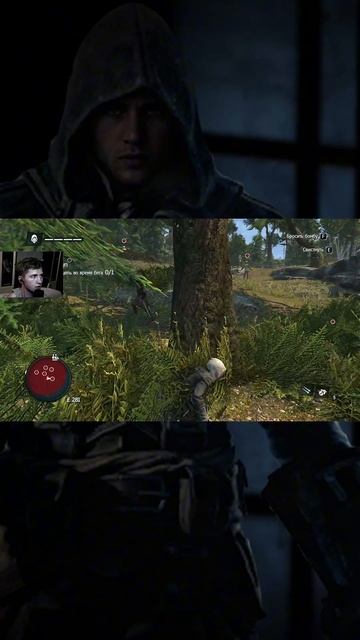 я уже это делал Assassin's Creed Rogue