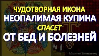 Празднование чудотворной иконы Богородицы _Неопалимая Купина_. Просите защиты от бед и болезней