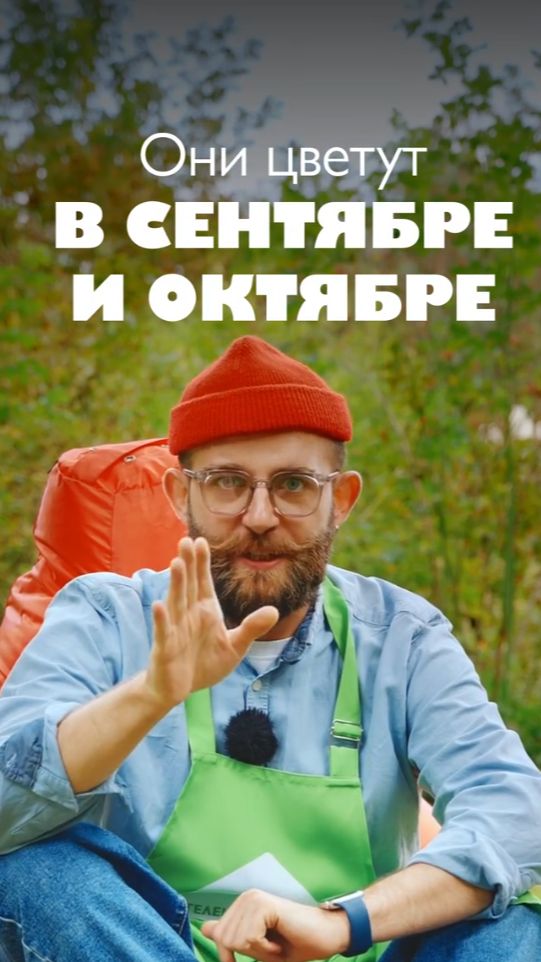 Растения цветут в сентябре и октябре. Советы для сада