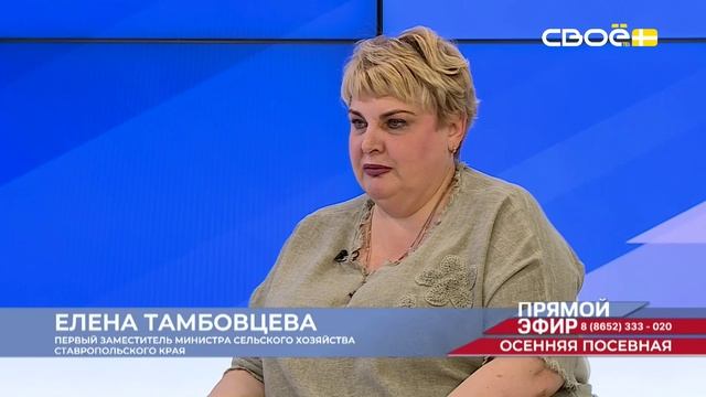 Прямой эфир
