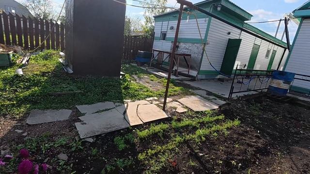 Мне в самый раз. Как хранить чеснок.
