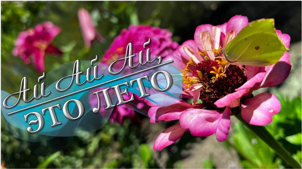 Природа / Путешествия