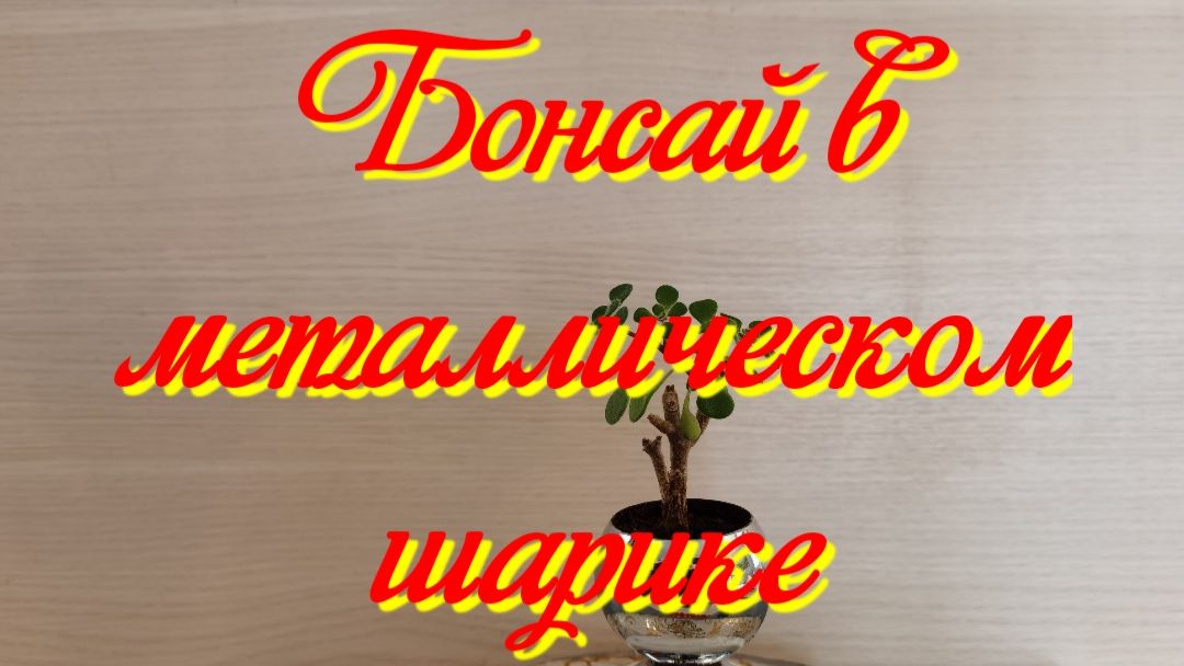Бонсай в металлическом шарике.