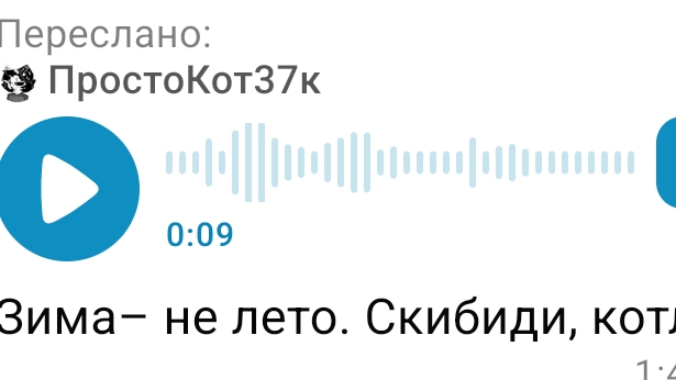 Мемы(Идея Вовы26к)