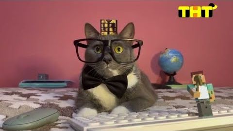 Котинет (Мультсериал, 2026)