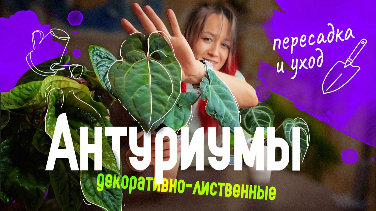 Уход за растениями