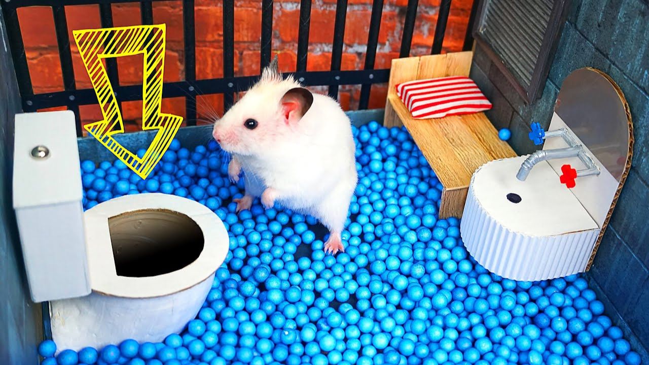 🍿 🐹 Хомяк сбегает из креативного лабиринта для питомцев в реальной жизни 🐹 — Истории о хомяке