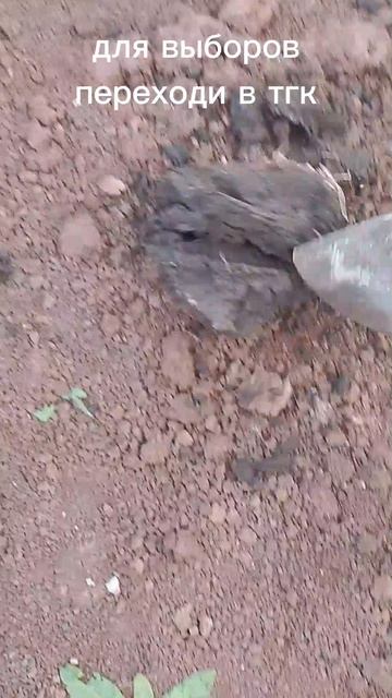ломаю глину день двадцать