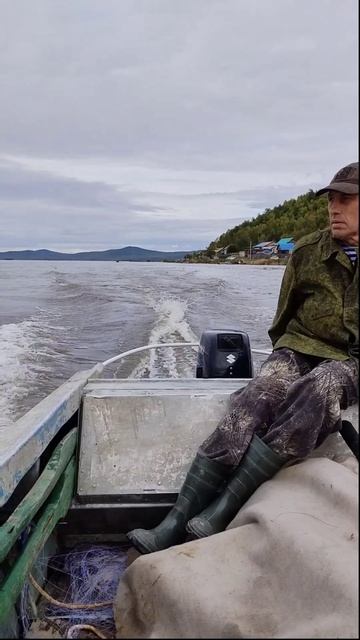 Путина