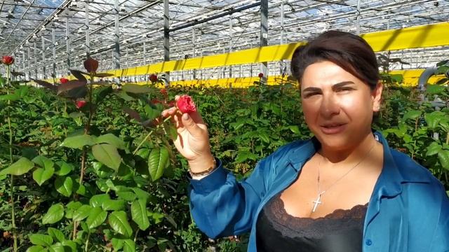 VID_20260916_090852