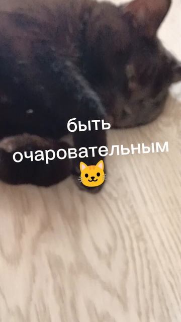 я очаровательный