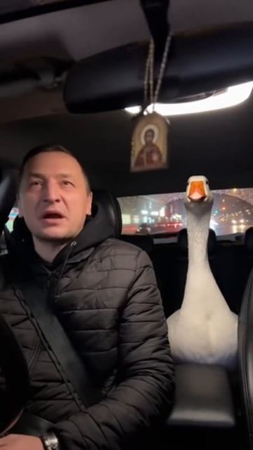 Как так получилось