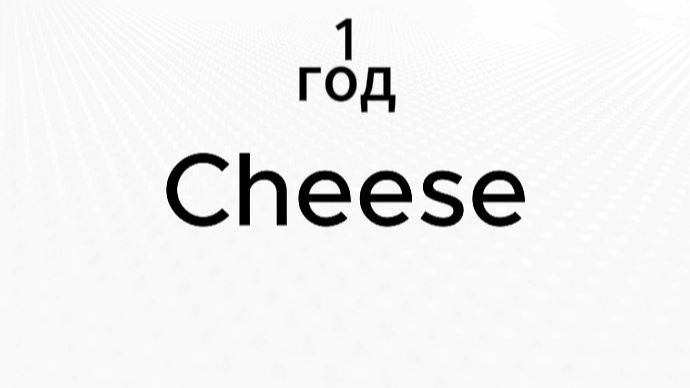 ДЕНЬ РОЖДЕНИЯ МОЕГО КАНАЛА 1 ГОД ОБСУЖДАЕМ ПЛАНЫ И ОБЗОРЫ | CHEESE