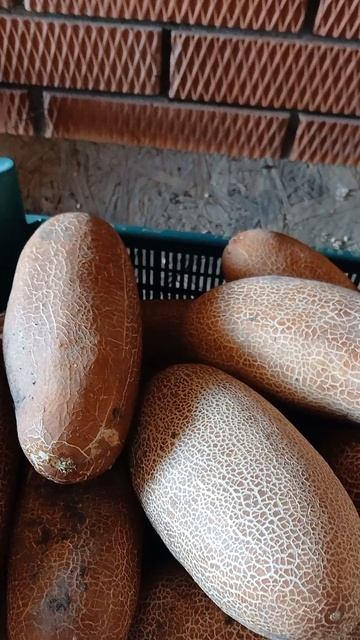 Овощи