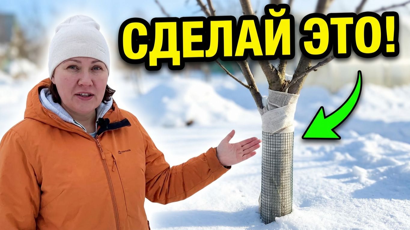 РАБОТЫ В САДУ И ОГОРОДЕ