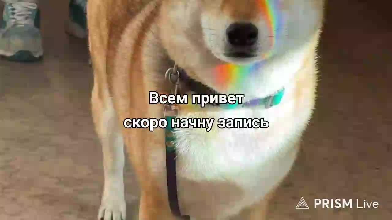Просто играю и могу поразговаривать