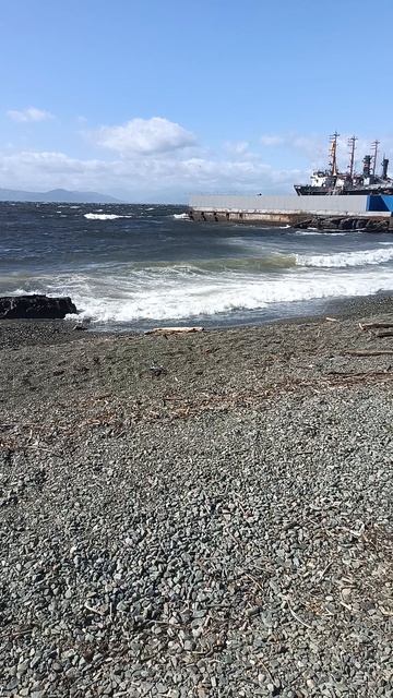 Приехал на Авачинскую бухту, летом в этом месте не далеко от морвокзала сидели рыбаки ловили навагу