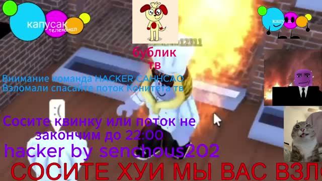 продолжение поток взлома котинета тв