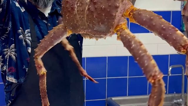 «Ты бы съел этого ГИГАНТСКОГО аляскинского королевского краба? 🦀😳»