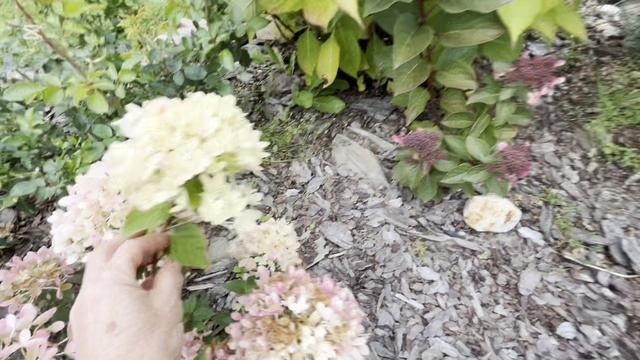 ДЕРЕВЕНСКАЯ ЖИЗНЬ С НУЛЯ