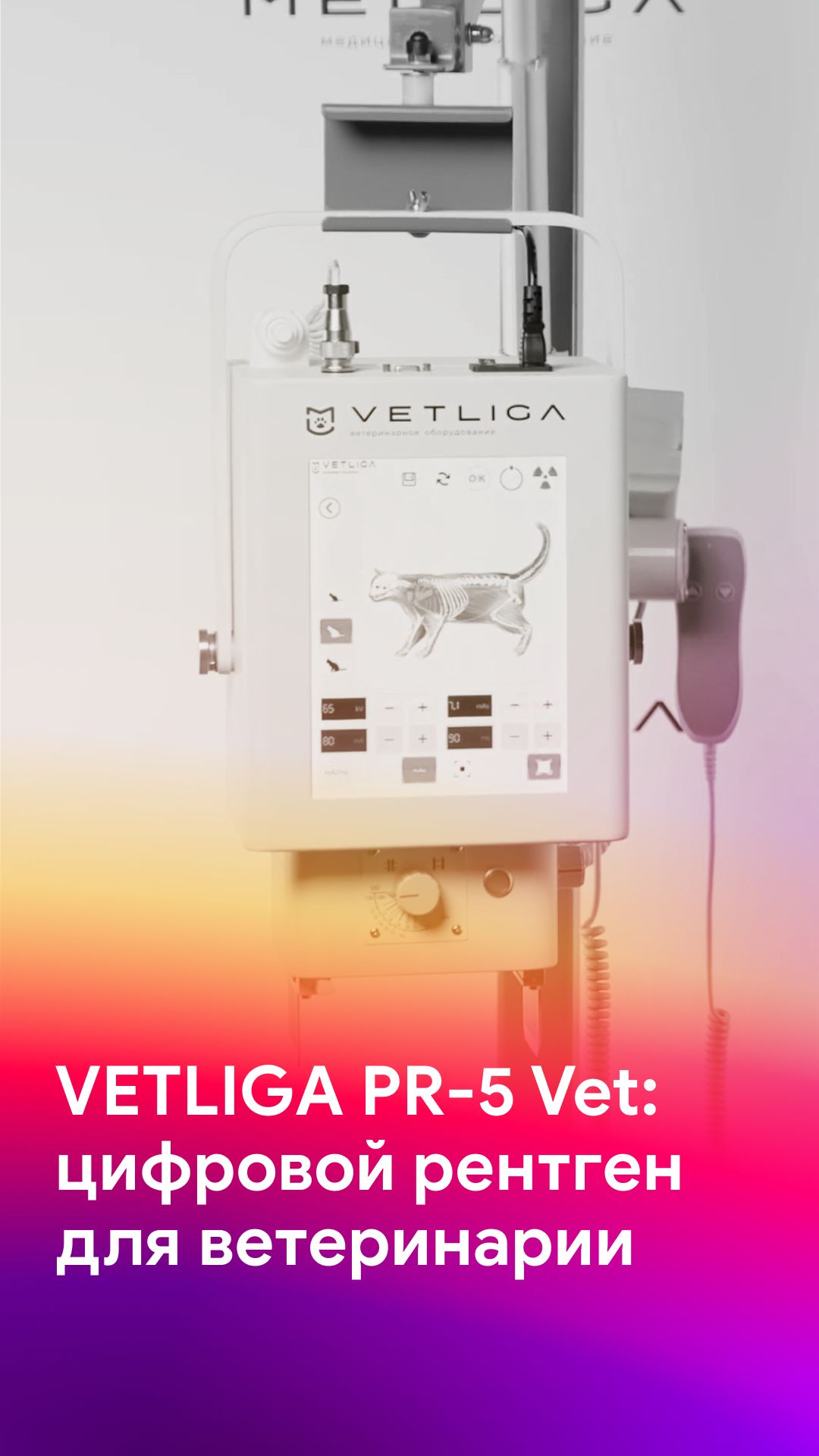 Cовременная цифровая рентгенография с аппаратом VETLIGA PR-5 Vet