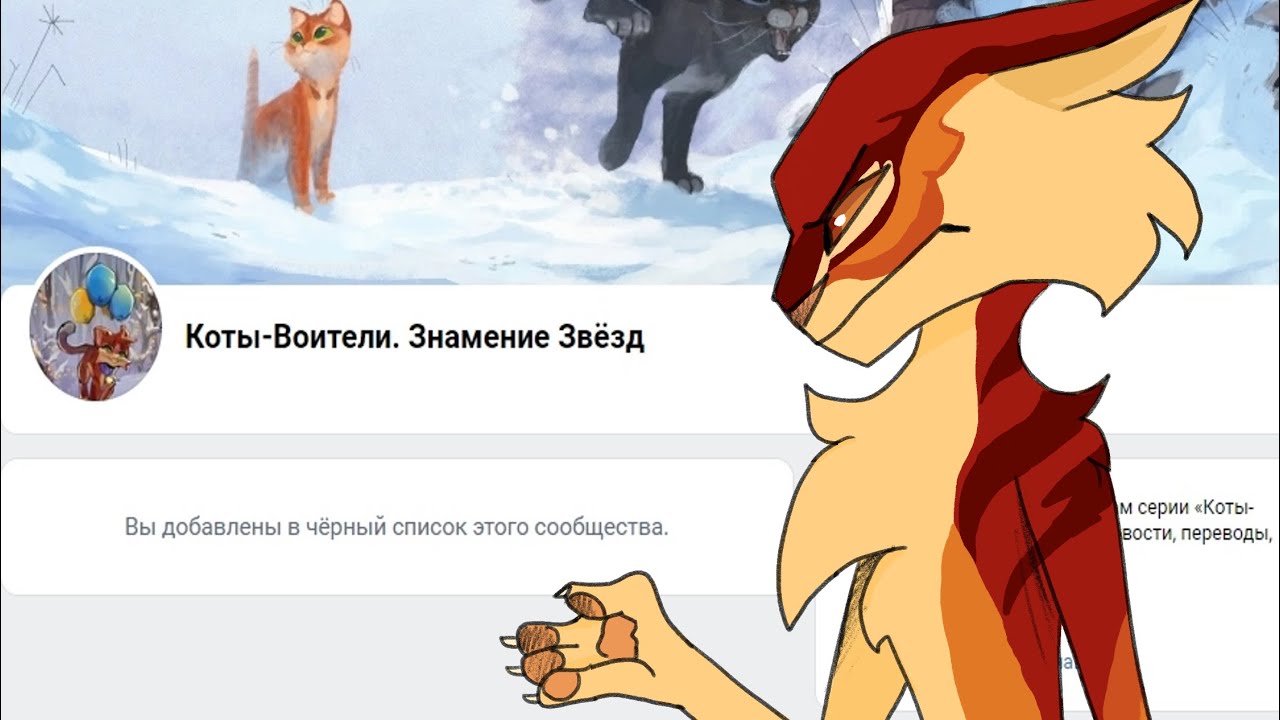 САМОЕ СТРАННОЕ ВК СООБЩЕСТВО ПО КВ!! #warriorcats #котывоители