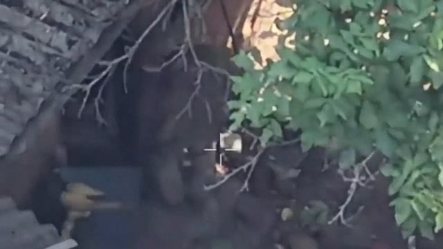 Пять ФАБов в одну линеечку.