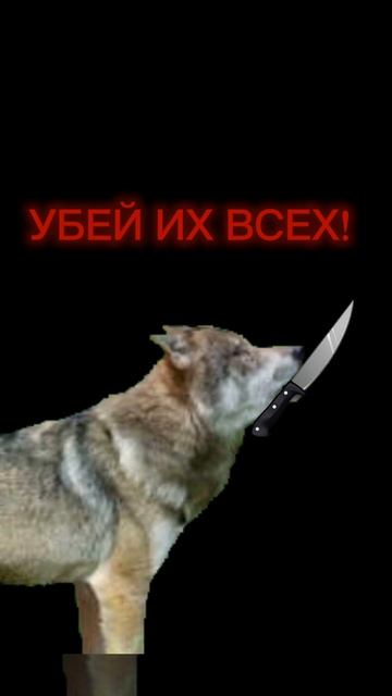 ЧЕГО ТЫ ЖДЕШЬ?!) УБЕЙ ИХ ВСЕХ!))))