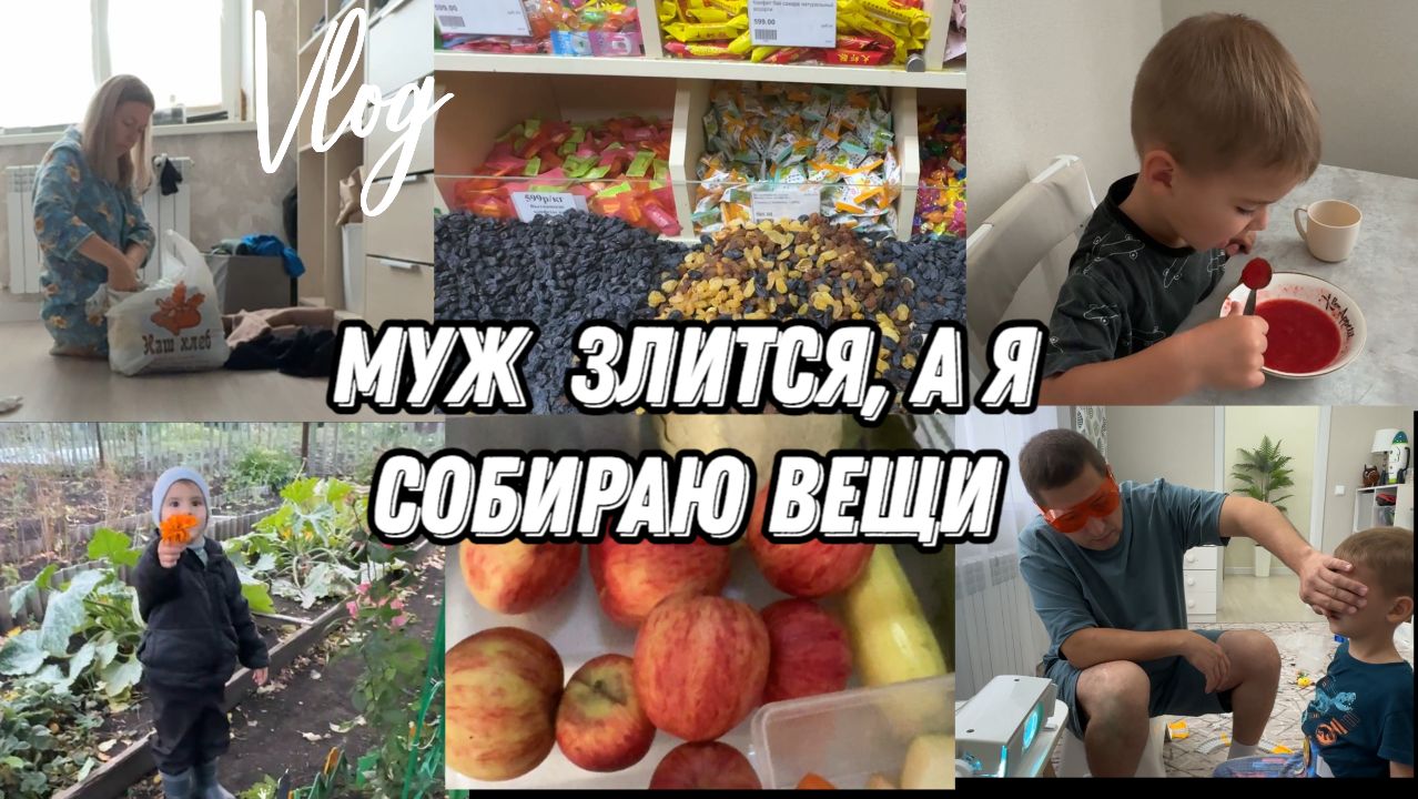 VLOG: Собираю ВЕЩИ// Тестируем СОЛНЫШКО//Приехали в СТАРЫЙ ДВОР//Последний УРОЖАЙ//Денис ЗЛИТСЯ