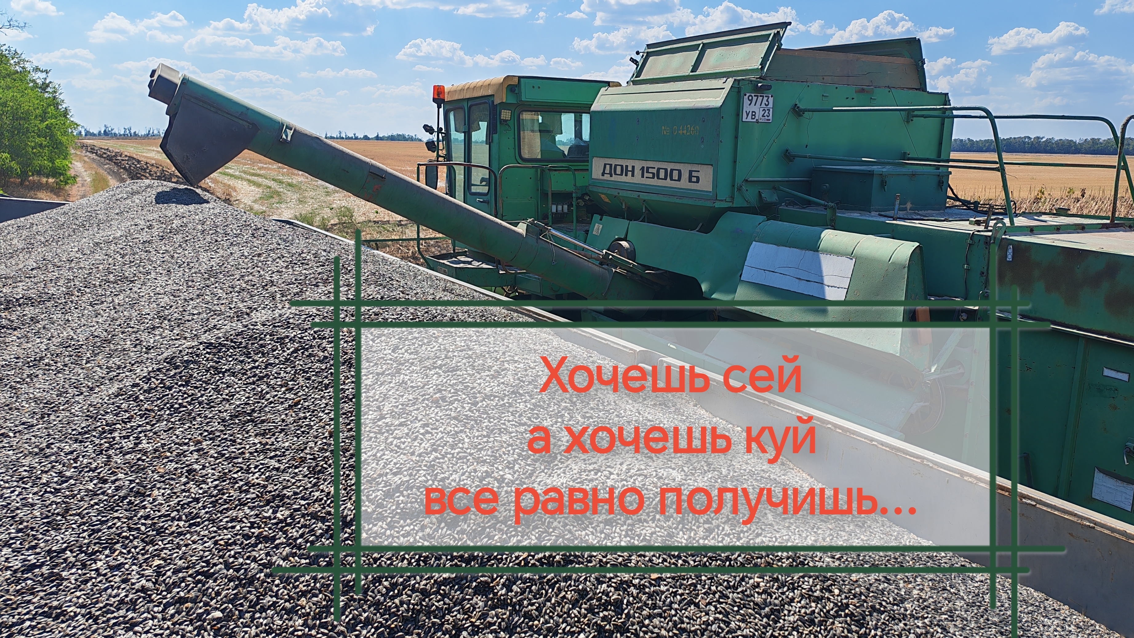 Уборка подсолне 2026!!!