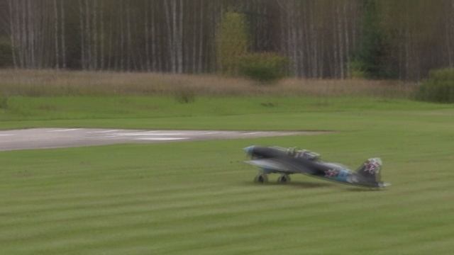 пощипать травки привезли...