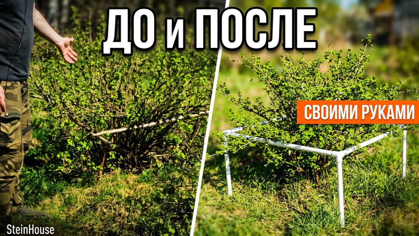 Подпорки для кустов своими руками из полипропиленовых труб. Подставки для веток |SteinHouse