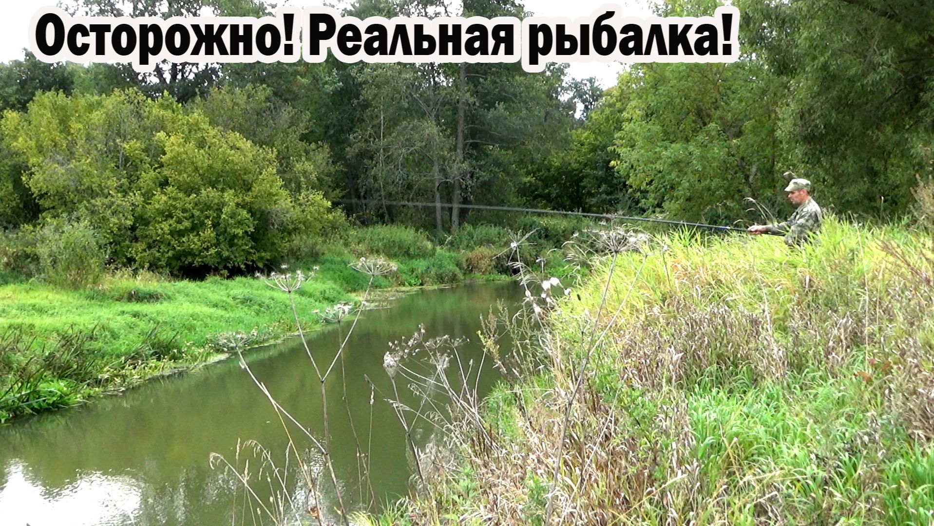 Попробовать поймать хороший улов ельца* осенью в проводку на малой реке