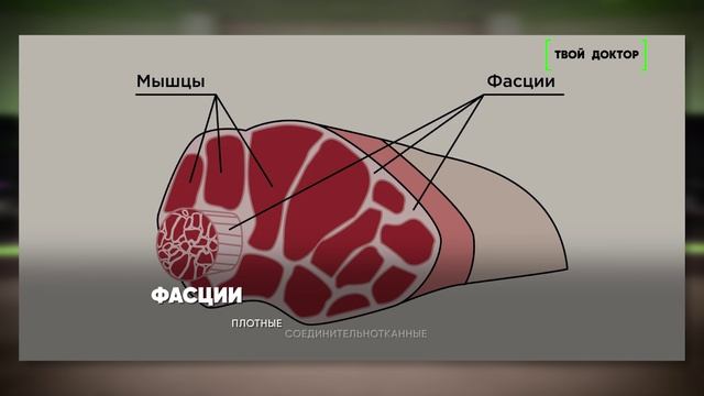 25.06.2026 МАЛОИНВАЗИВНАЯ ХИРУРГИЯ ПРИ ДЦП