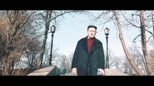 Клипы