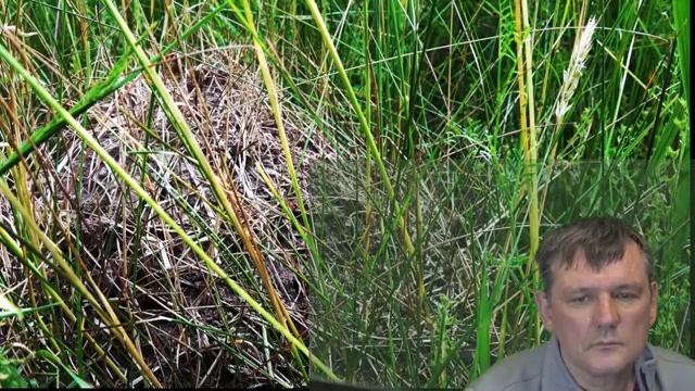 Всего 1 МИНУТА Матрицы Тело Начнет Себя Лечить